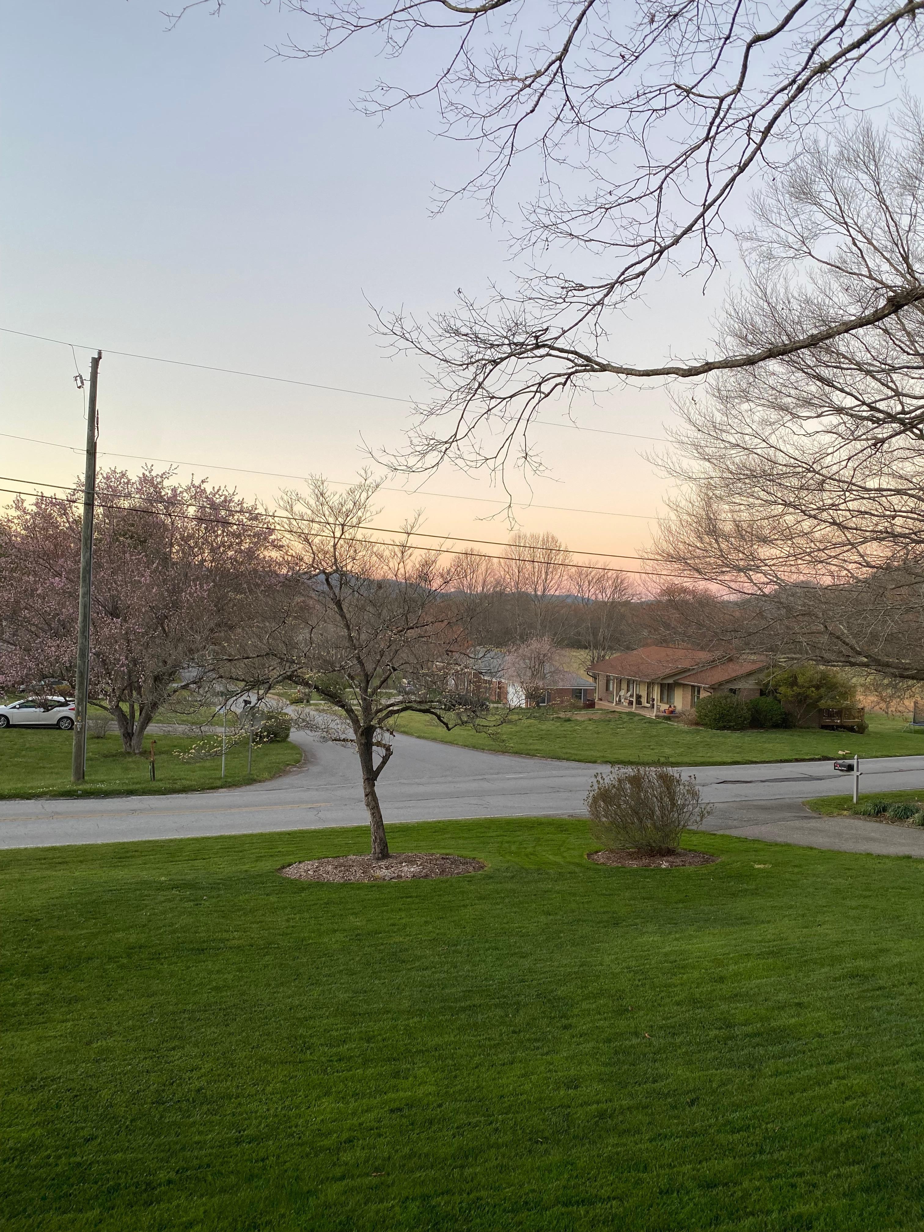 View from the front porch.