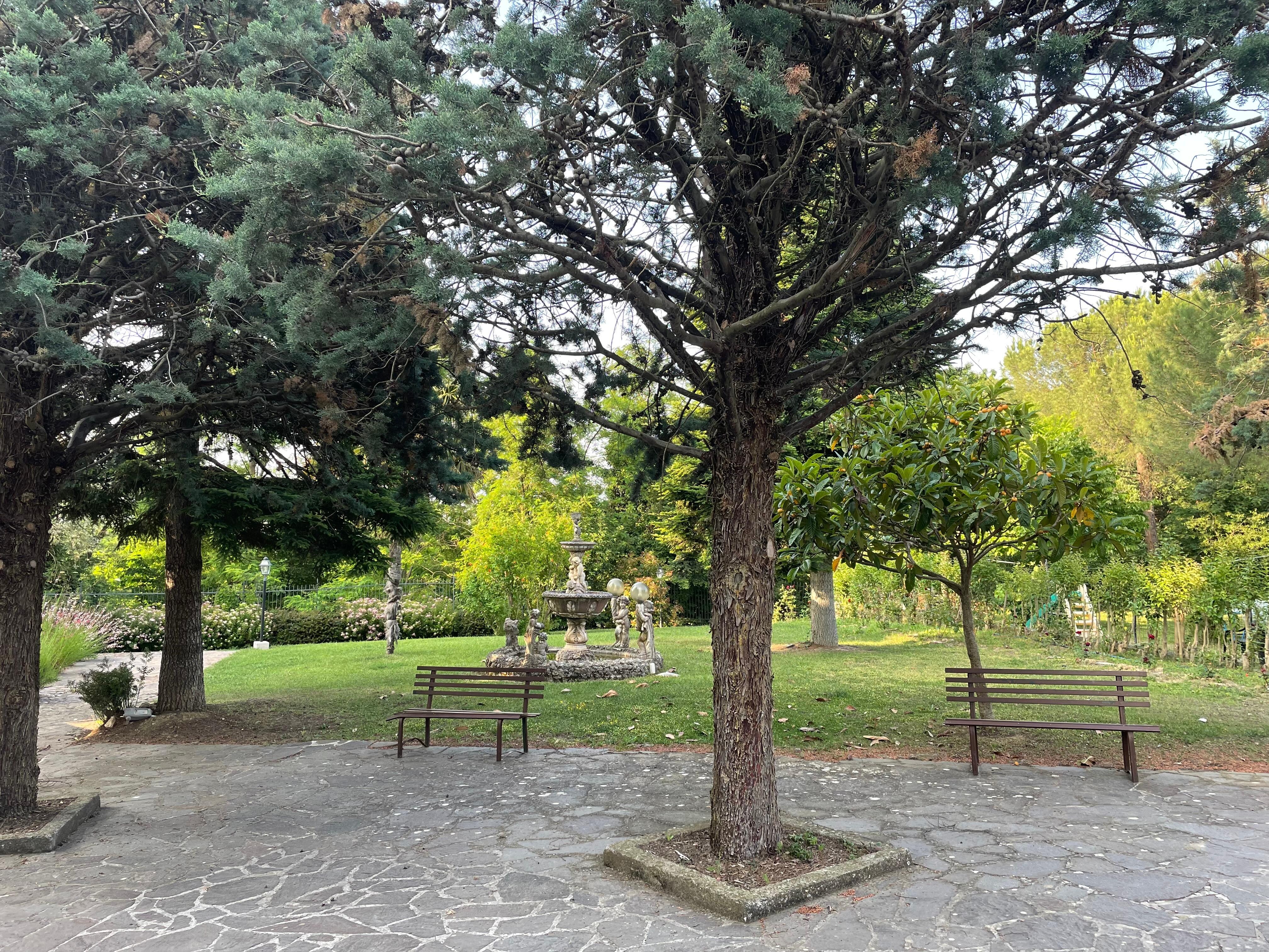 Outside Garden 