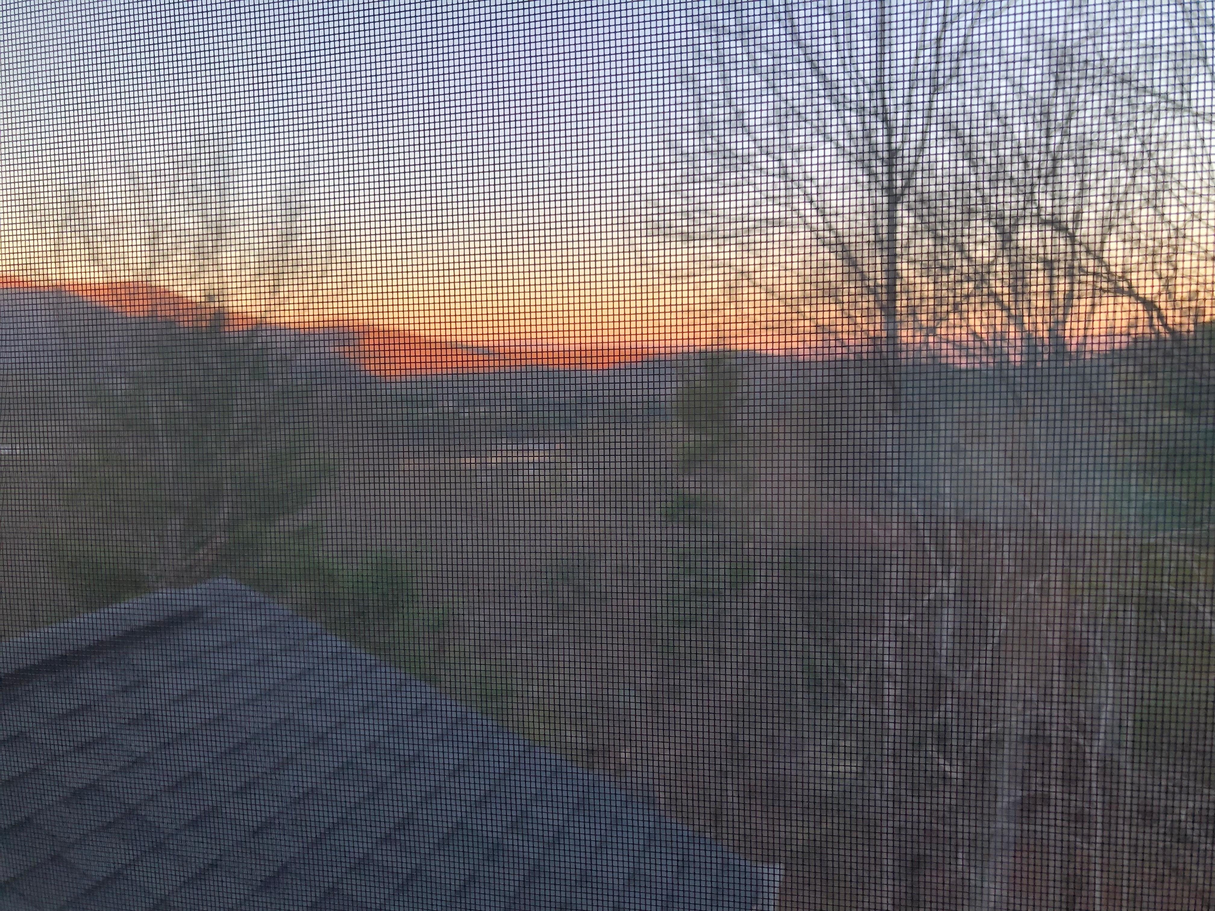 Morning view from the loft.