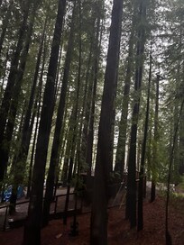 View from the bedroom window