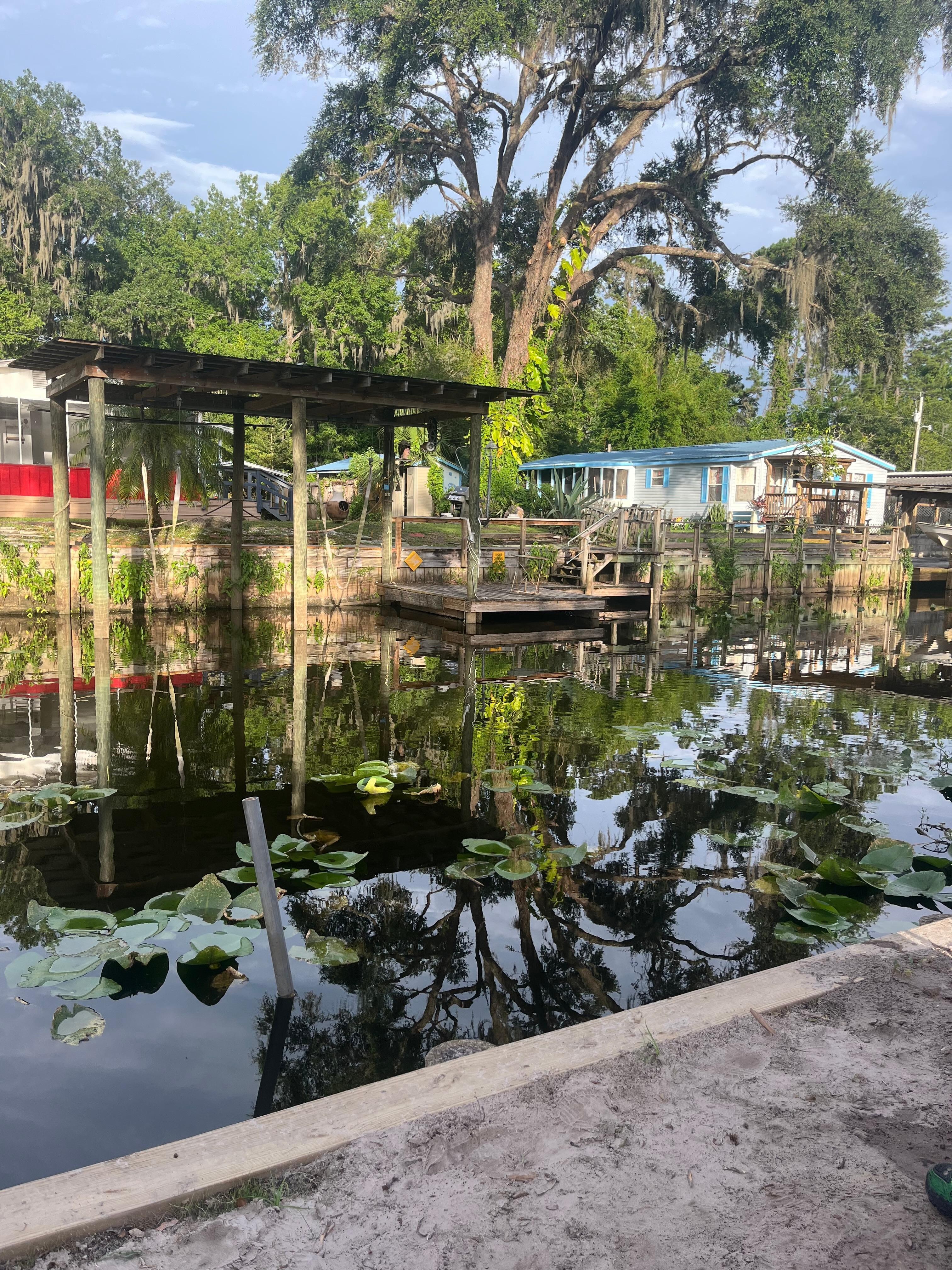 Photo of the creek