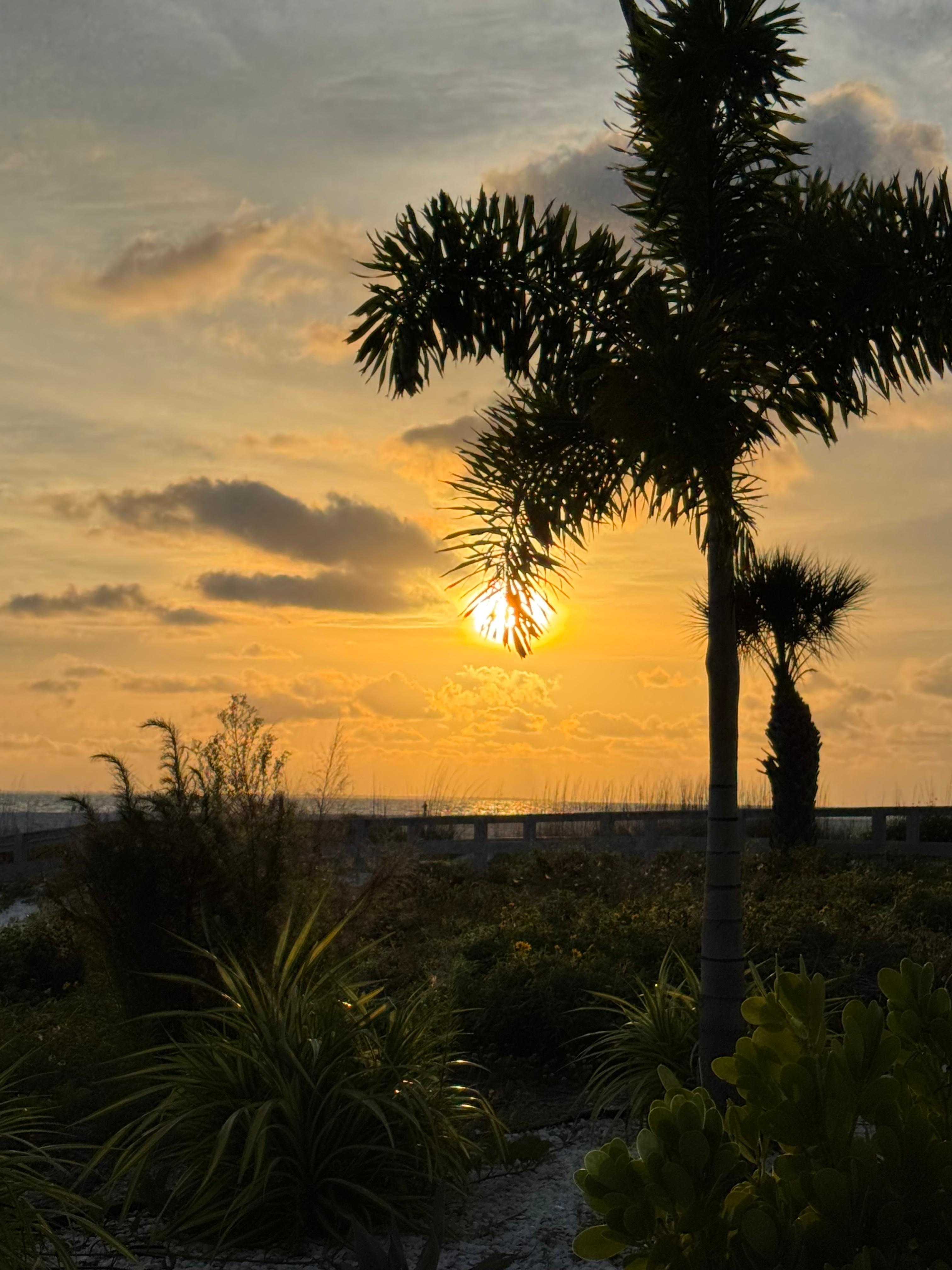 Beach sunset