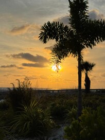 Beach sunset
