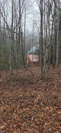 Beautiful cabin in a very remote location