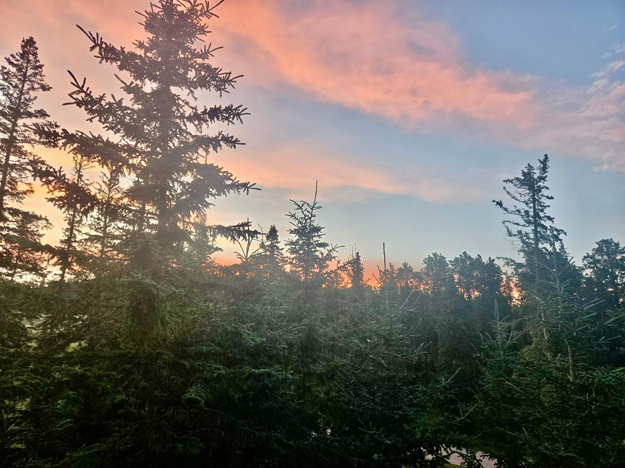 Sunset from the deck. 