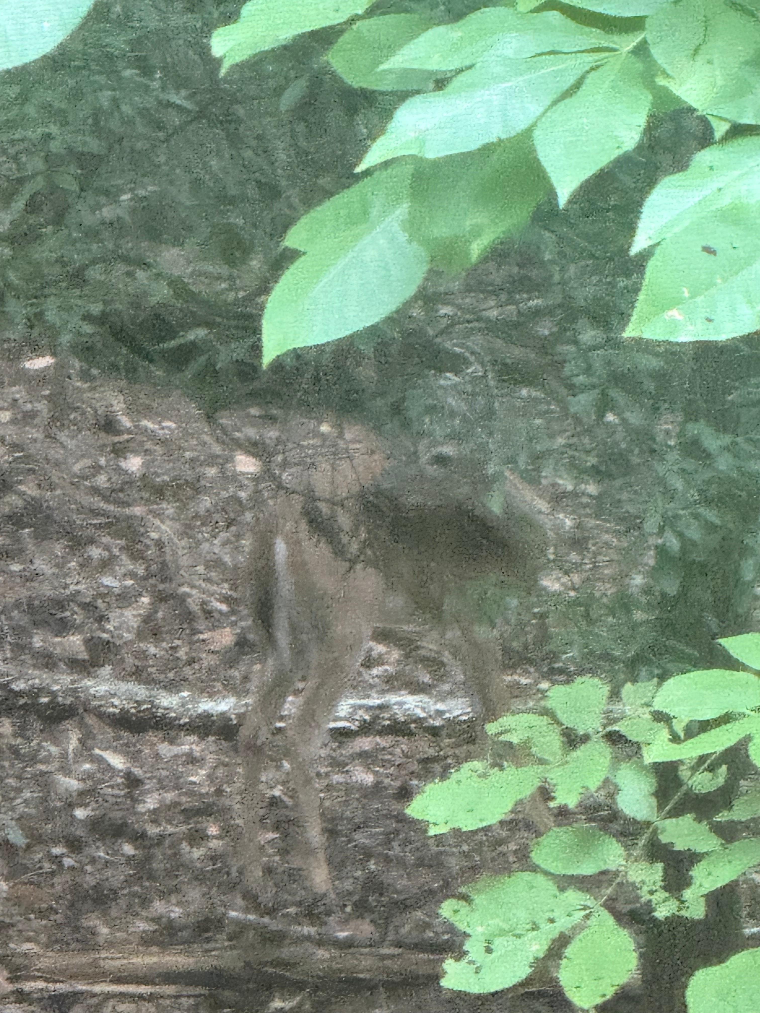 Deer we saw each morning 