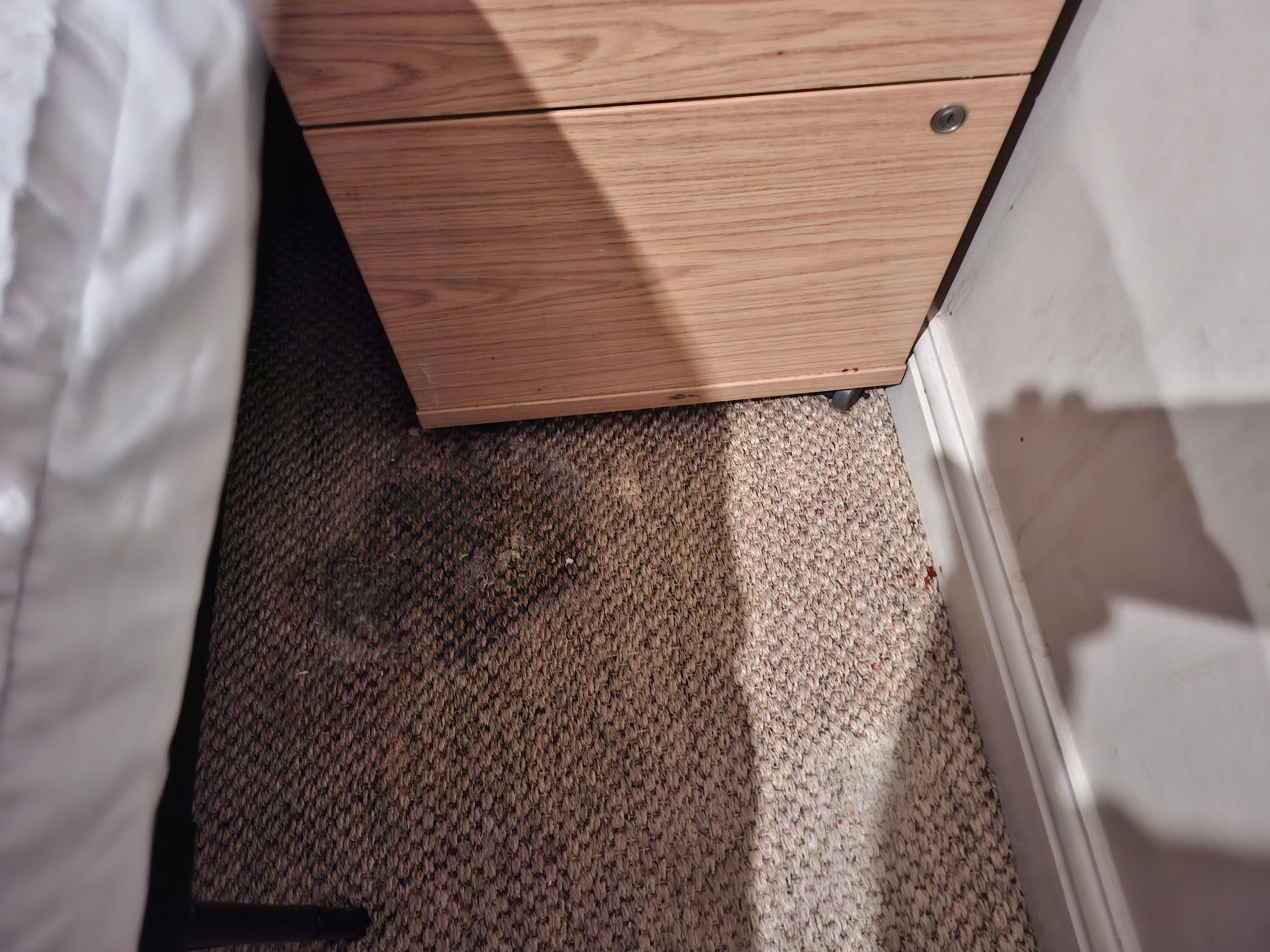 Stain on nedroom floor our children staying in