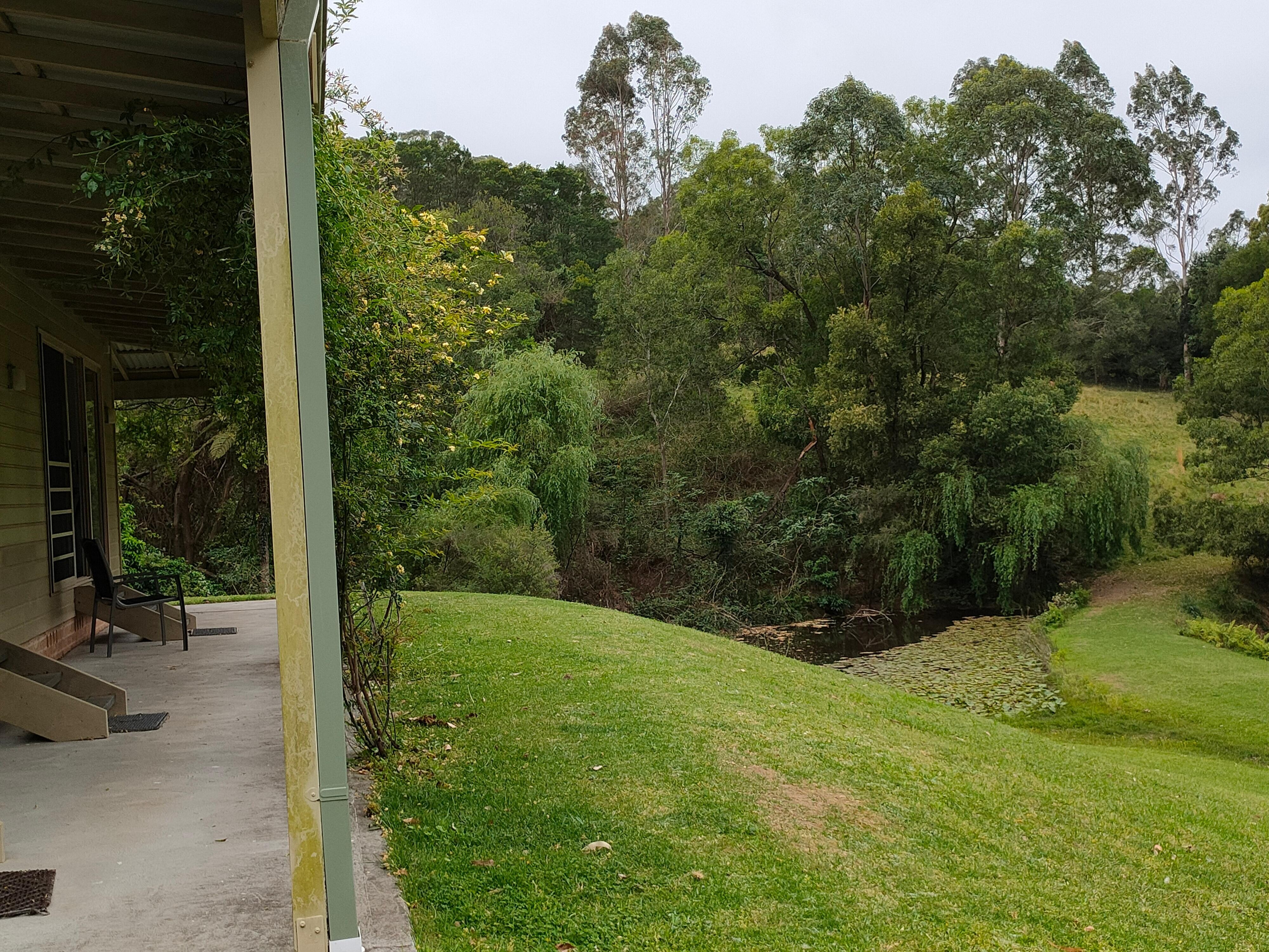 view from verandah to lake