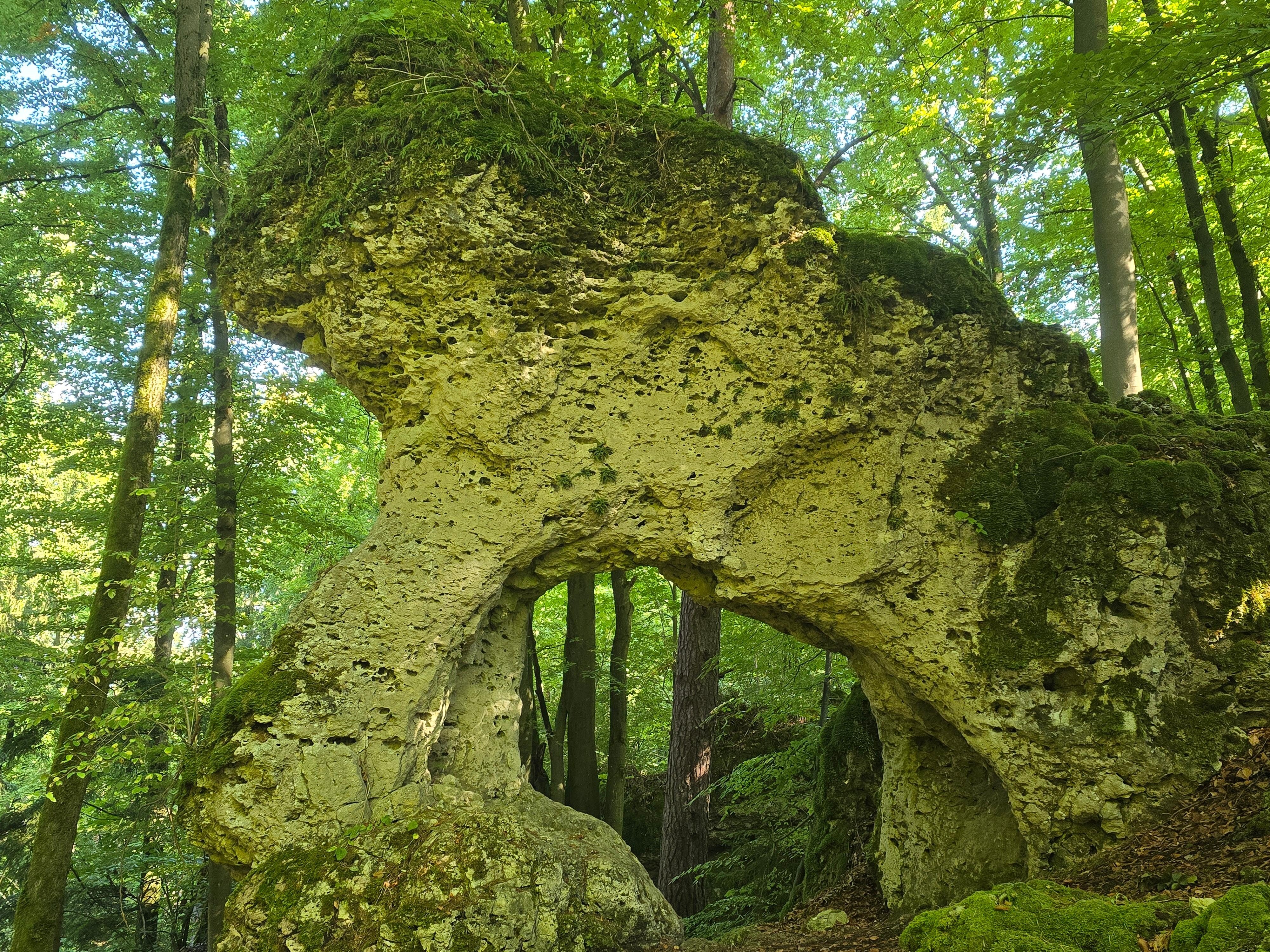 Löwentor bei Türkelstein (ca. 8 km von Kleingesee)