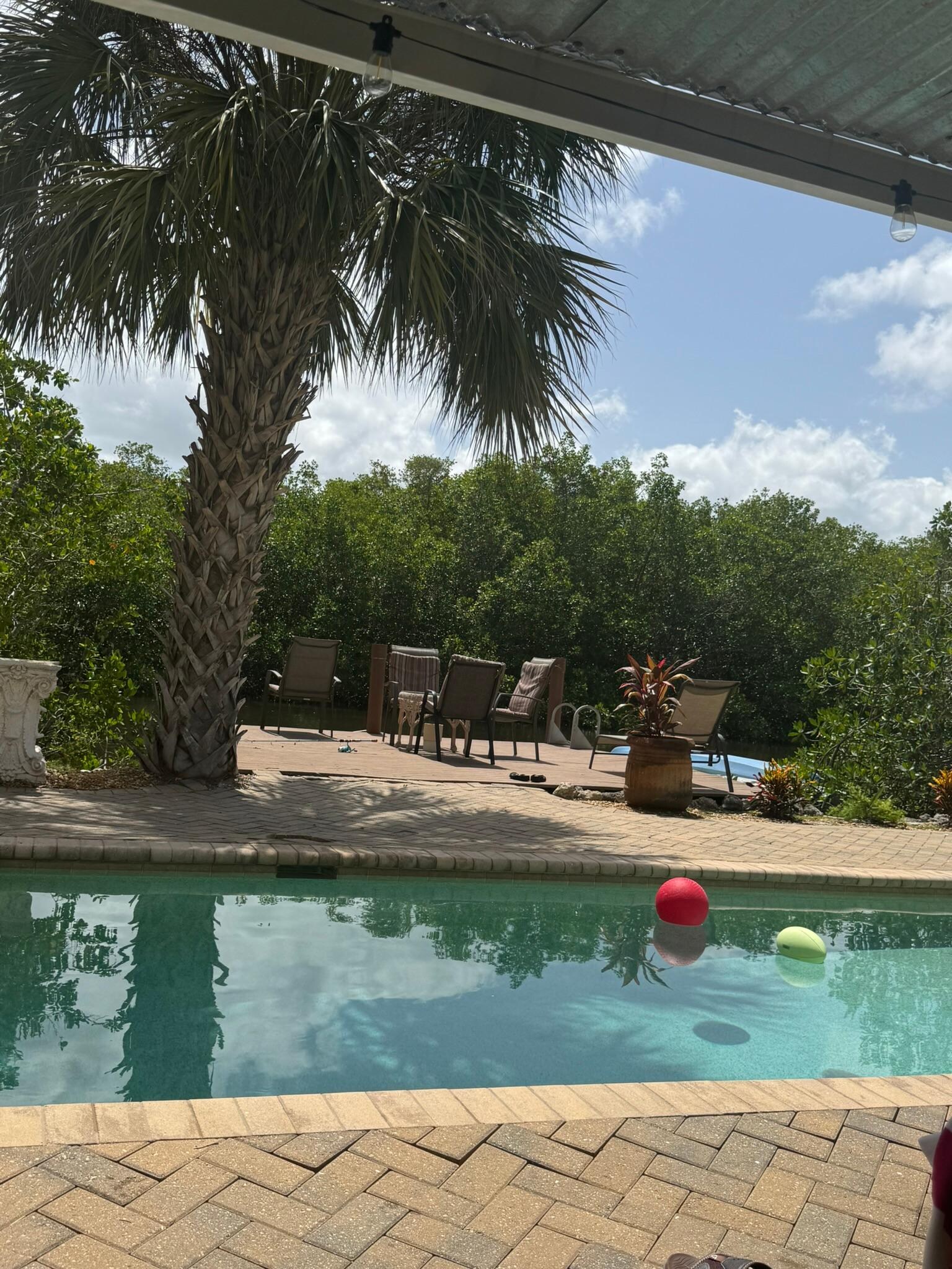View from the patio
