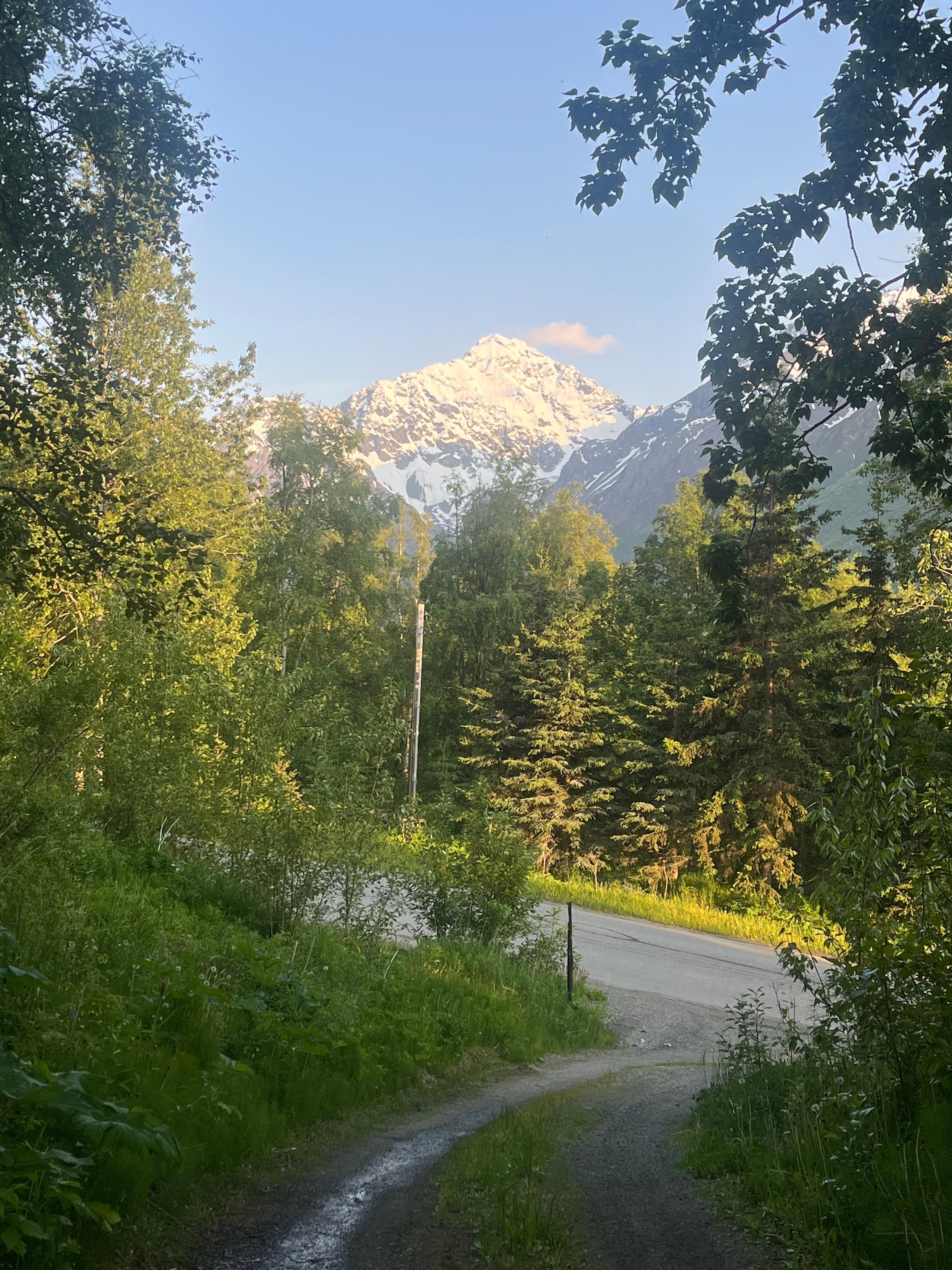 Driveway view 