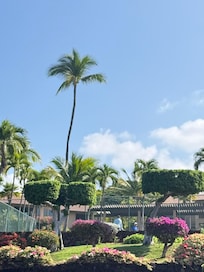 Our walk back to condo