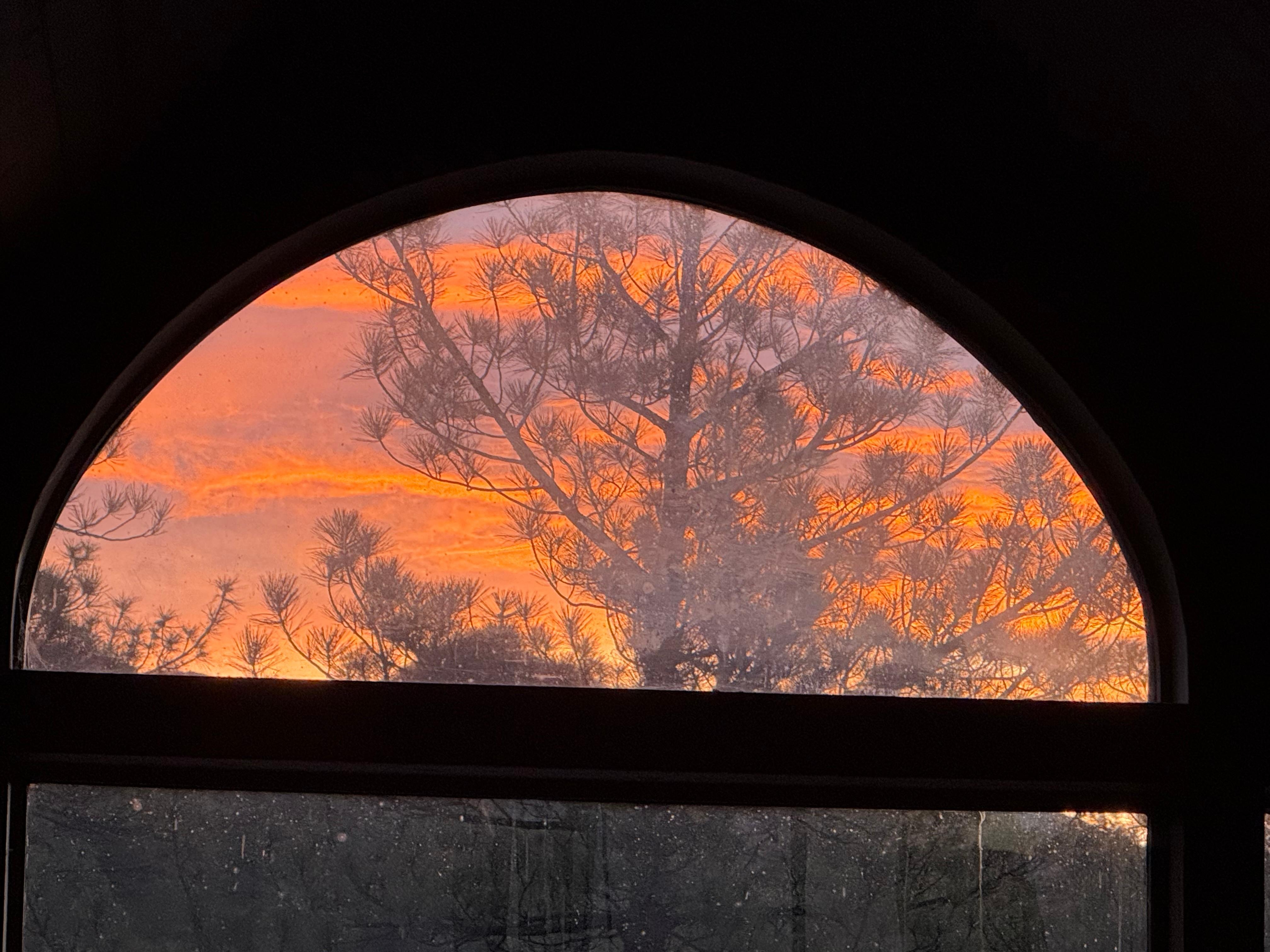 Sunrise from the loft bedroom. 