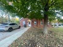 Trees around the house