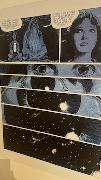 Unique comics (each room has something different)