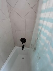 Mildly shower curtain and bathtub