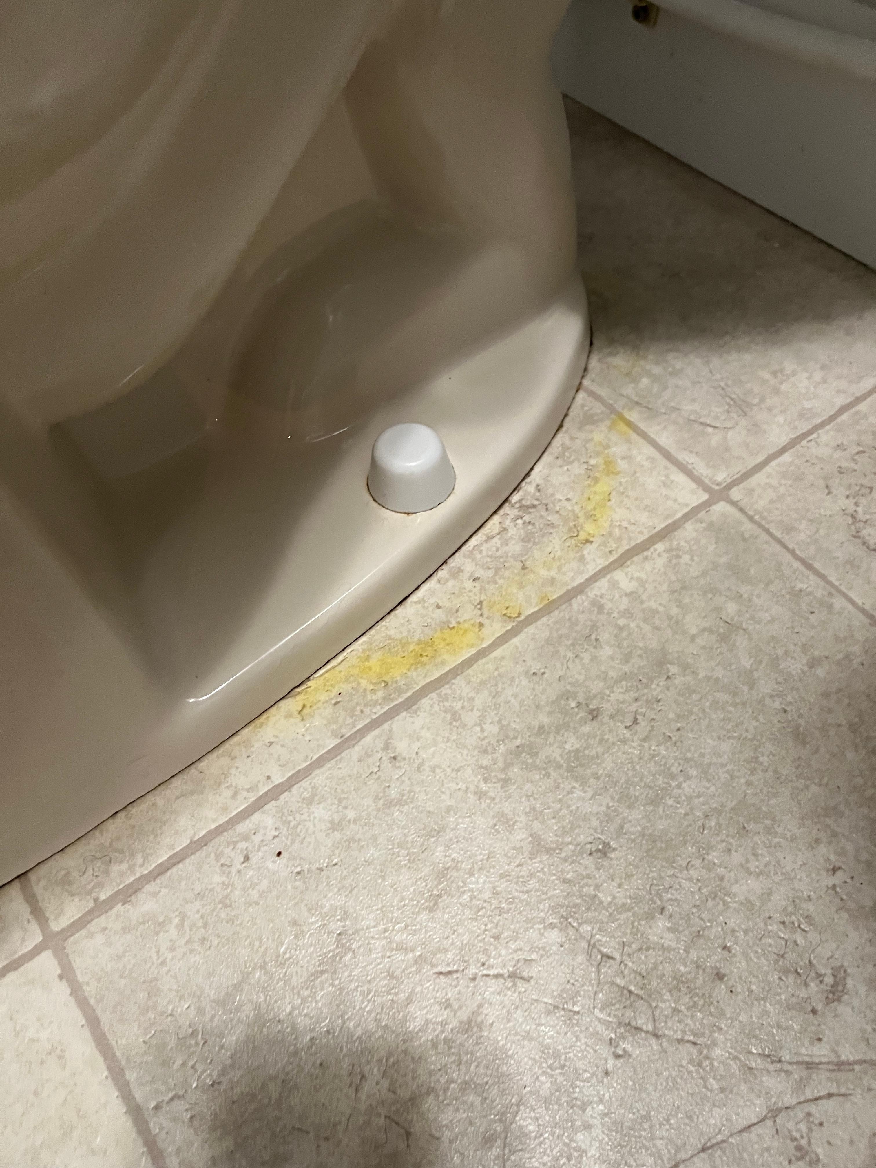 Urine ring in bathroom.