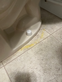 Urine ring in bathroom.