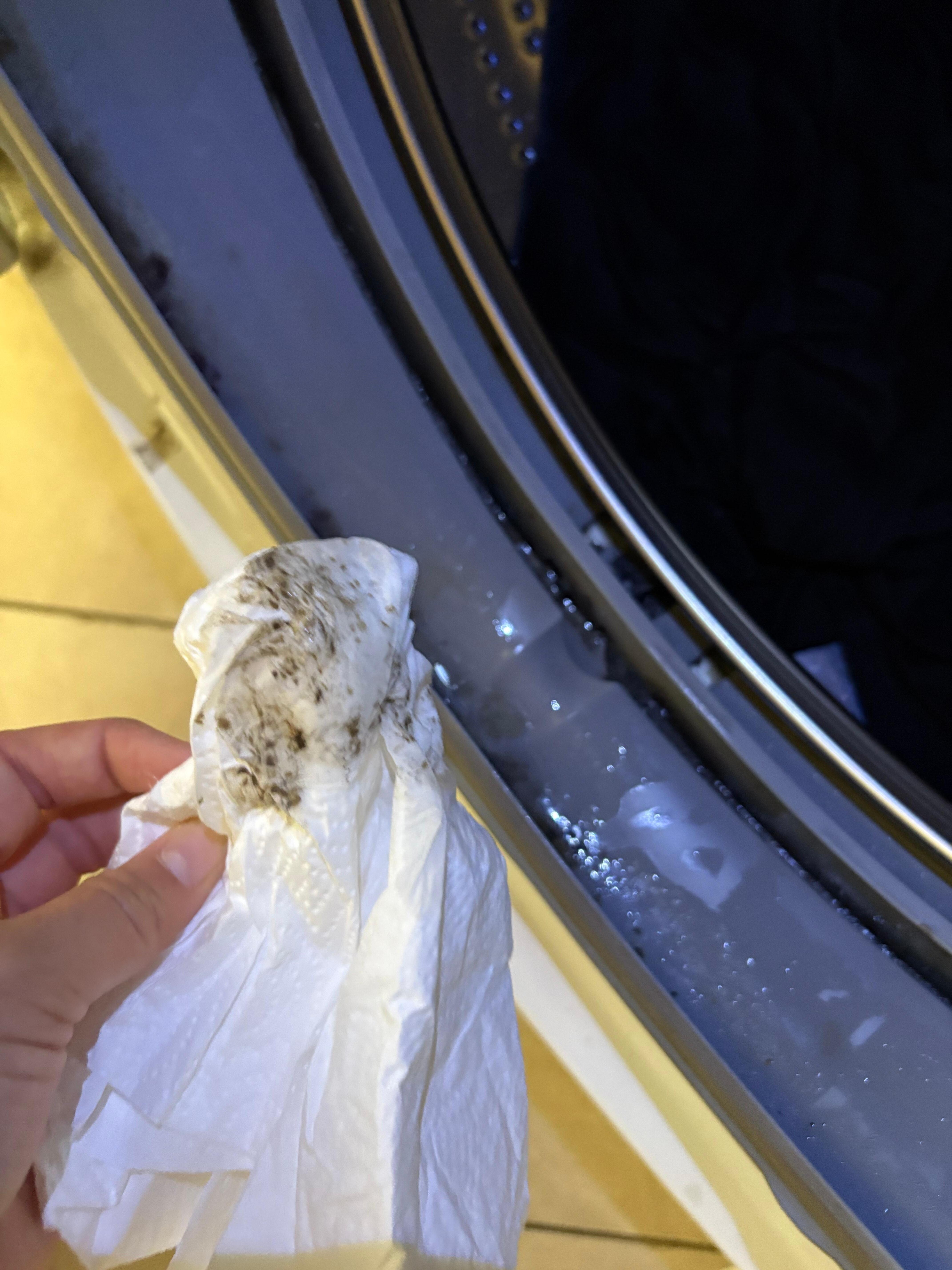 Mold in the washer