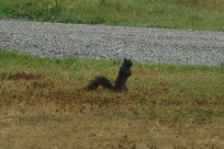 On the property