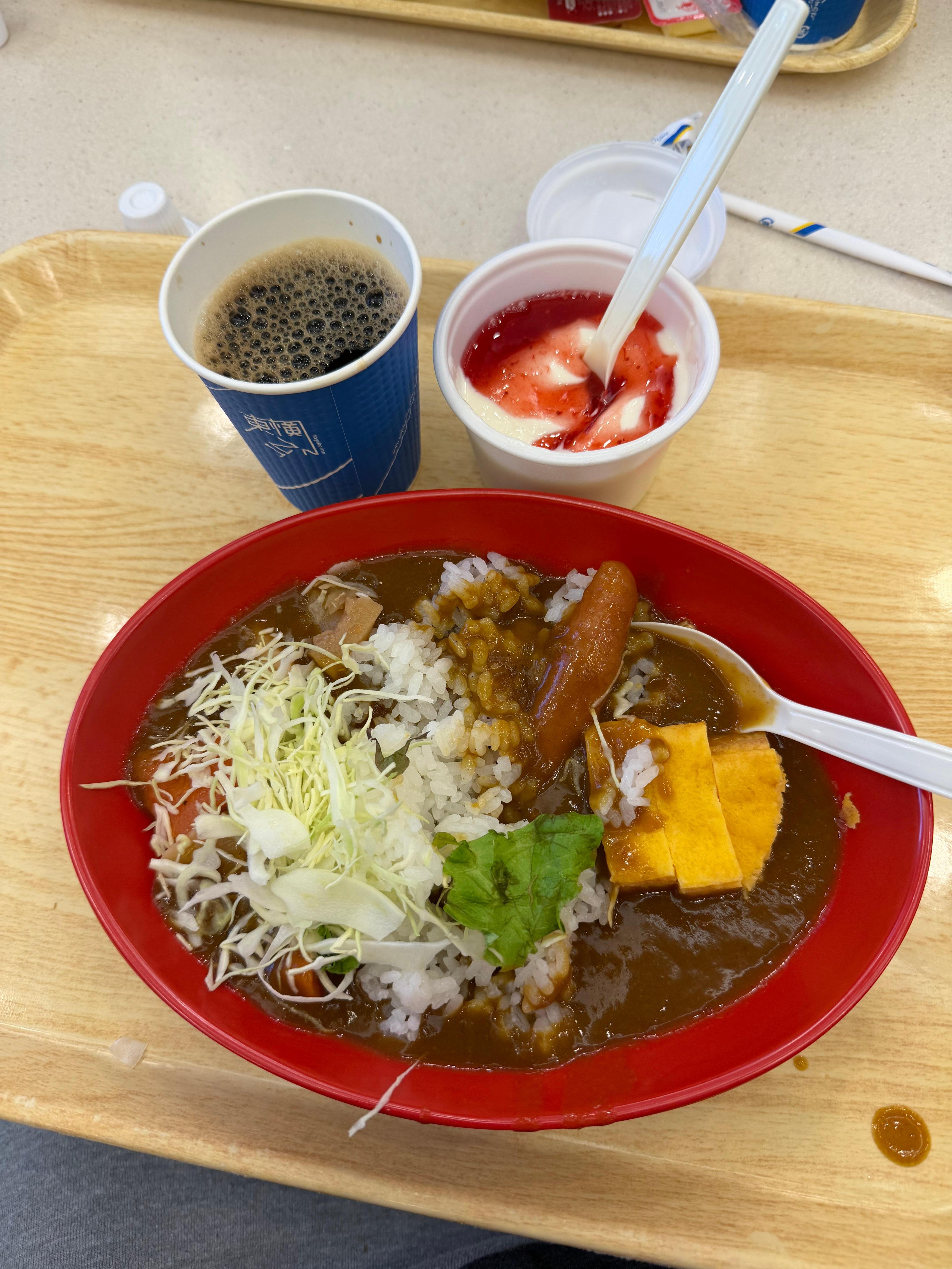 The curry over rice was excellent