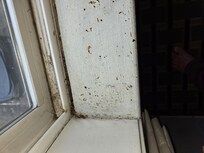 Windowsill and track
