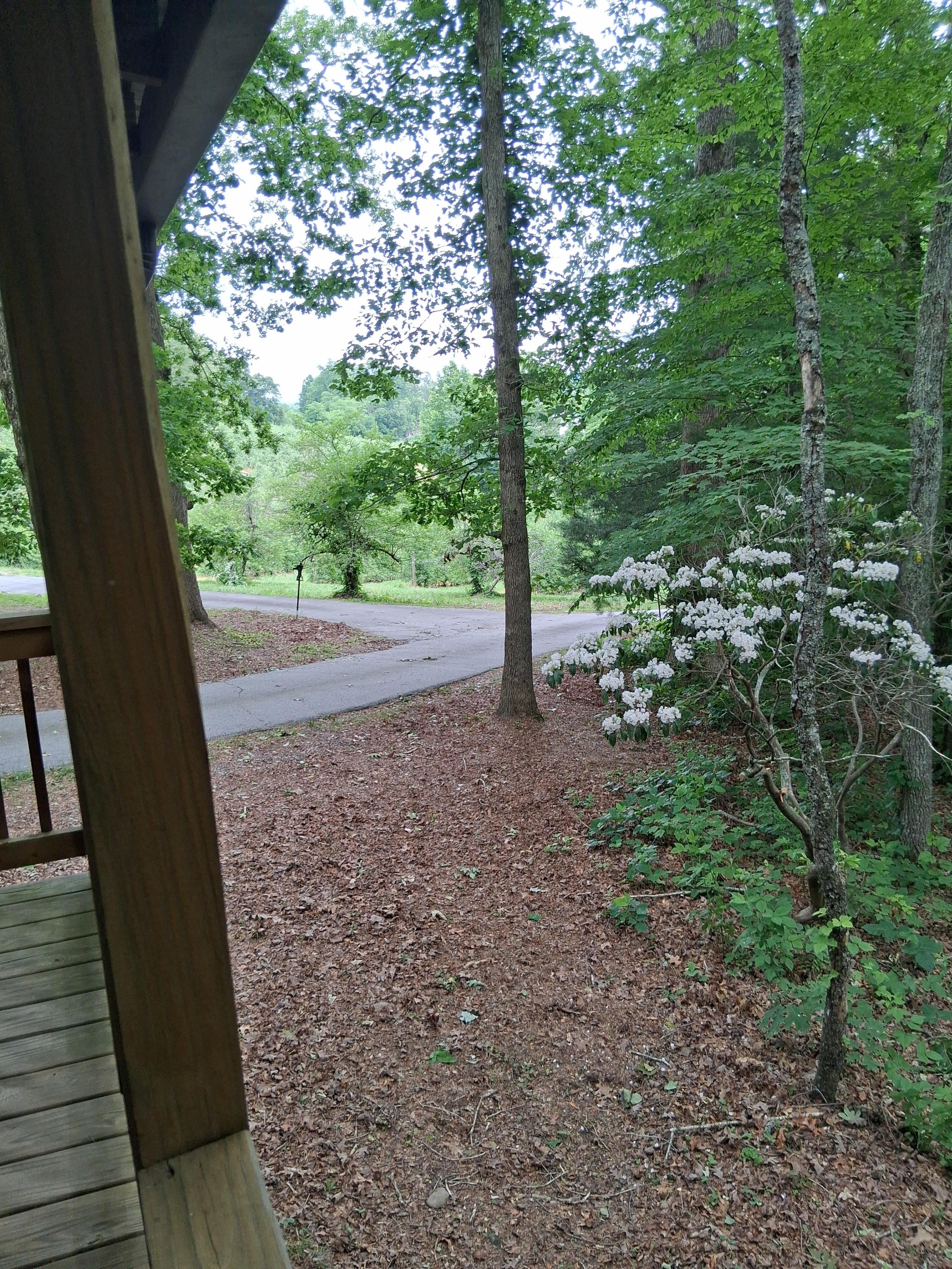 The view from the Rocking Chair porch