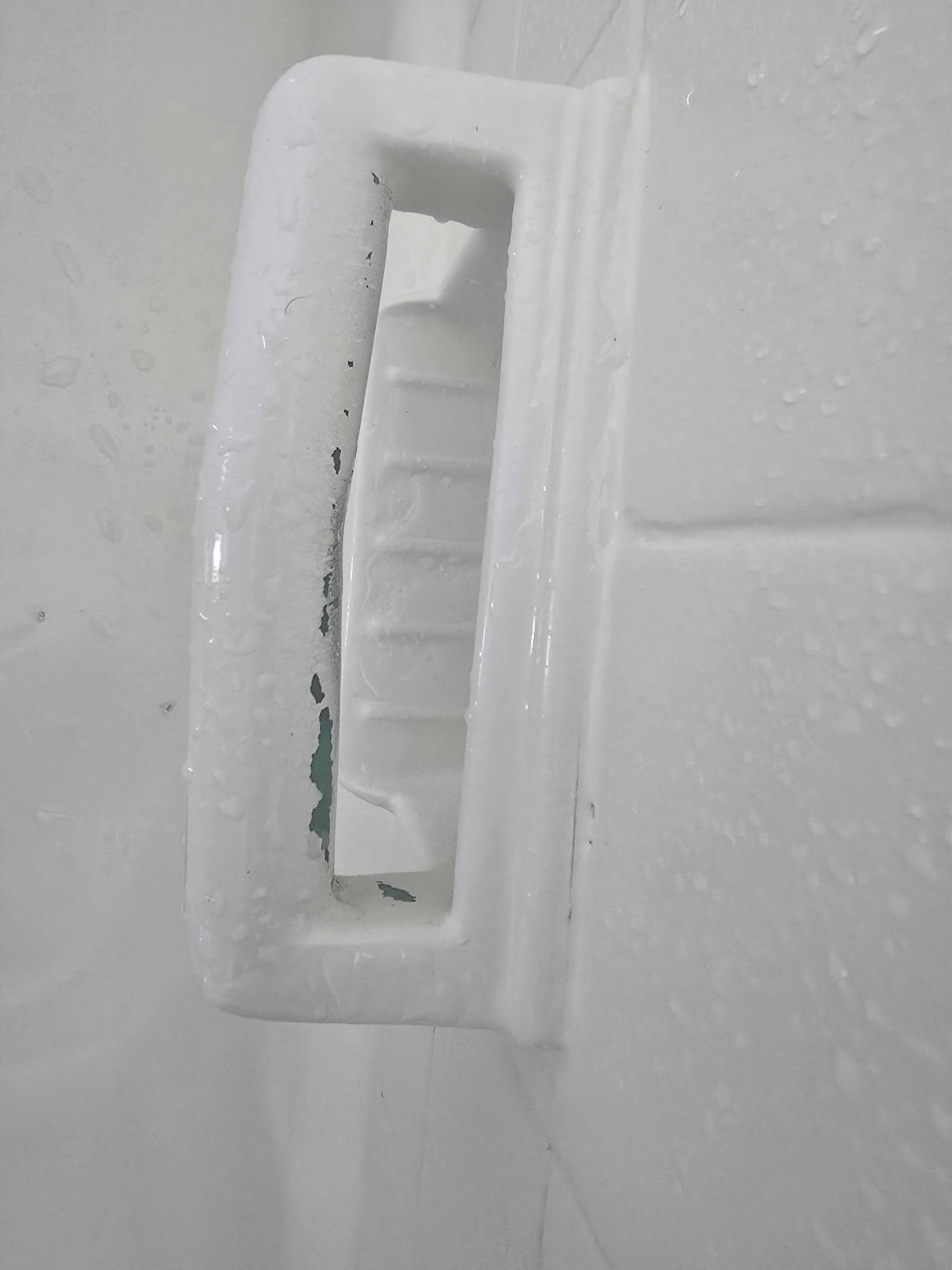 Mold on shower soap dish 