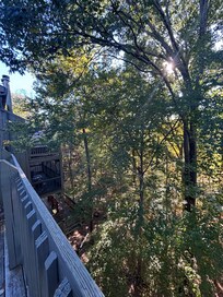 Another view off the back deck. Saw several squirrels, deer and woodpeckers.