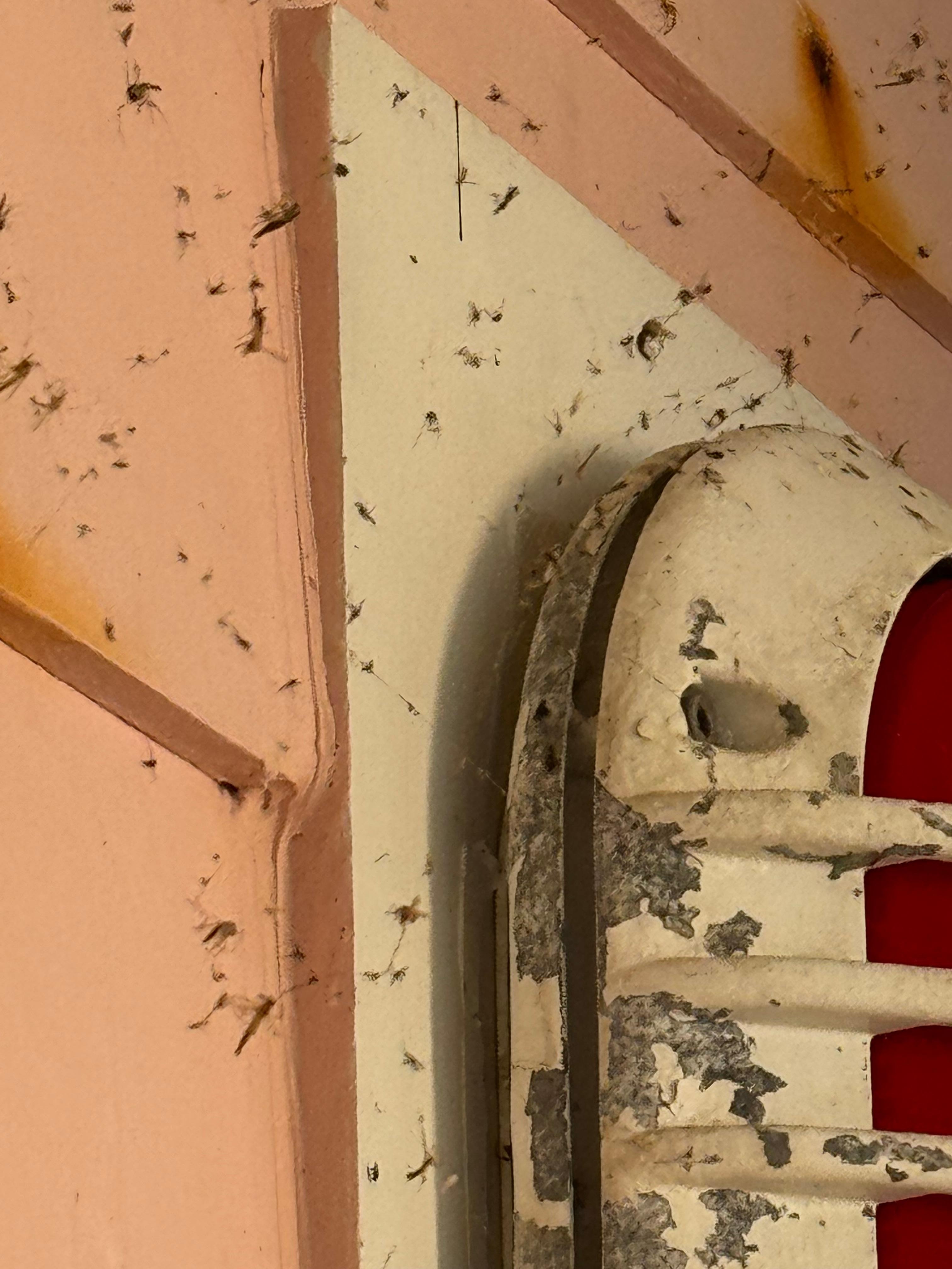FRONT PORCH OVERLOOKING BEACH