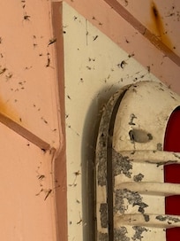 FRONT PORCH OVERLOOKING BEACH
