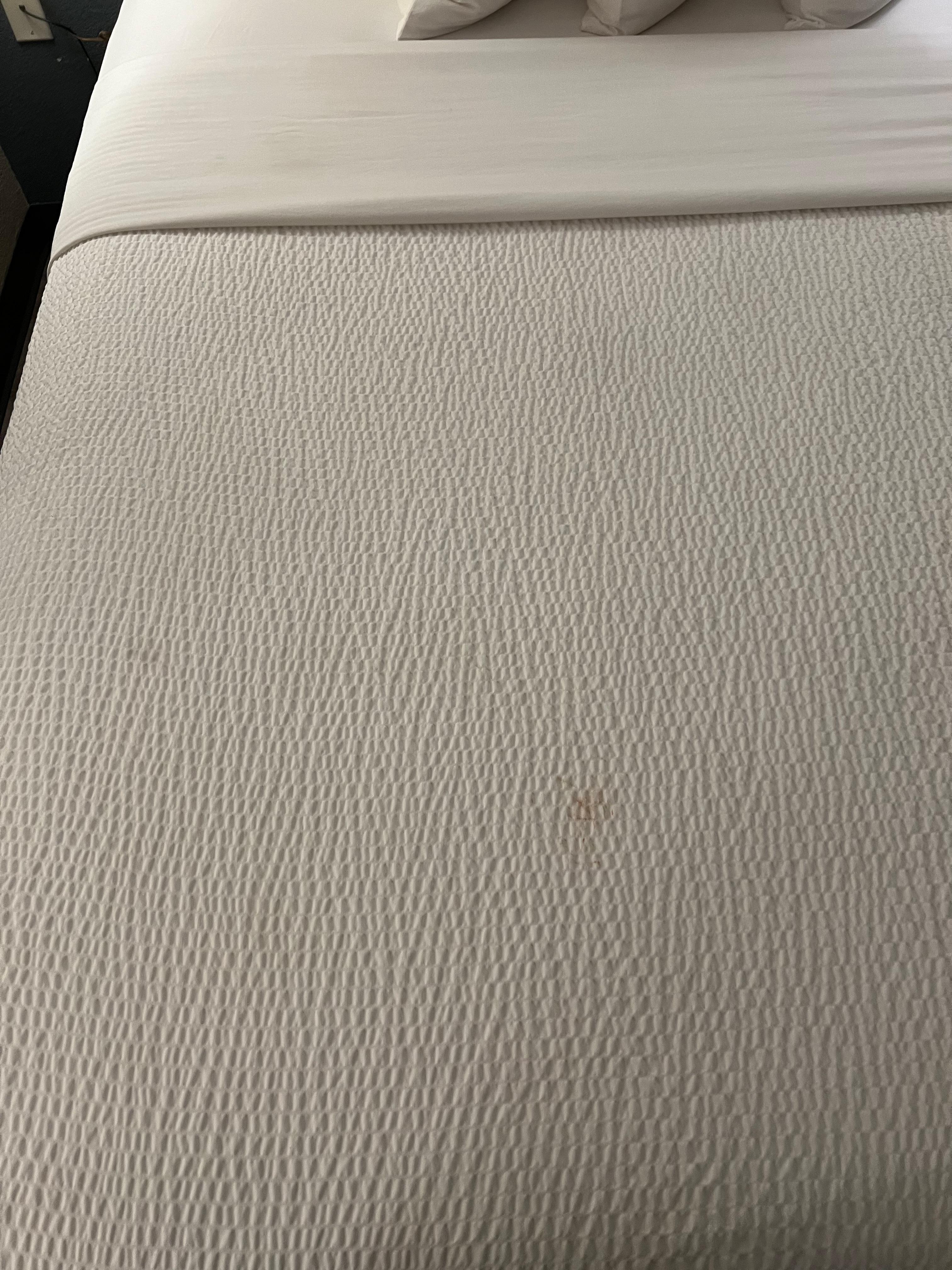 Bed Stains