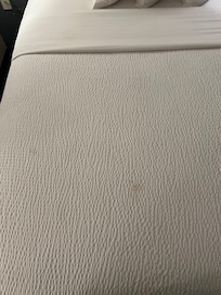 Bed Stains