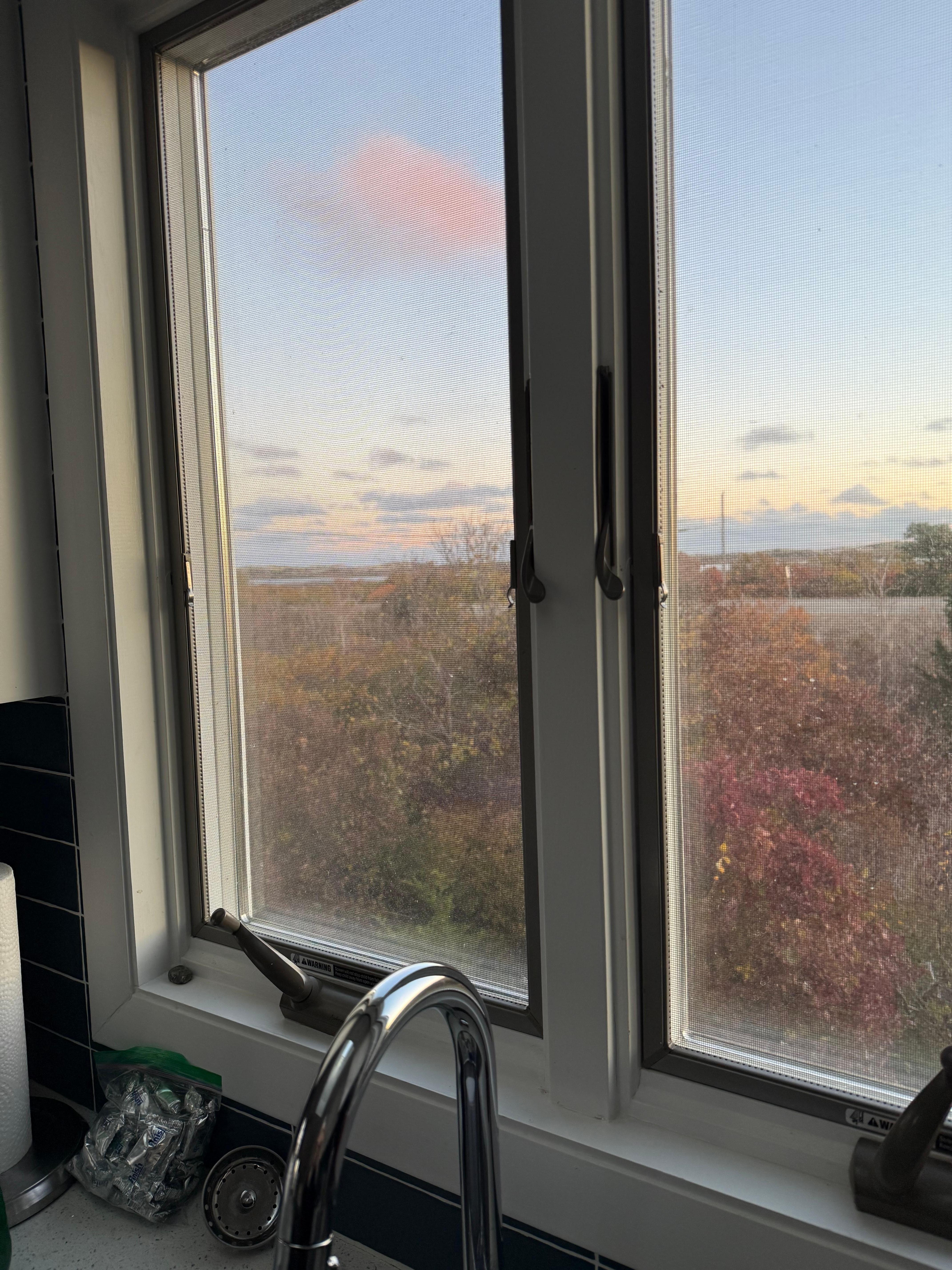 View from kitchen window 