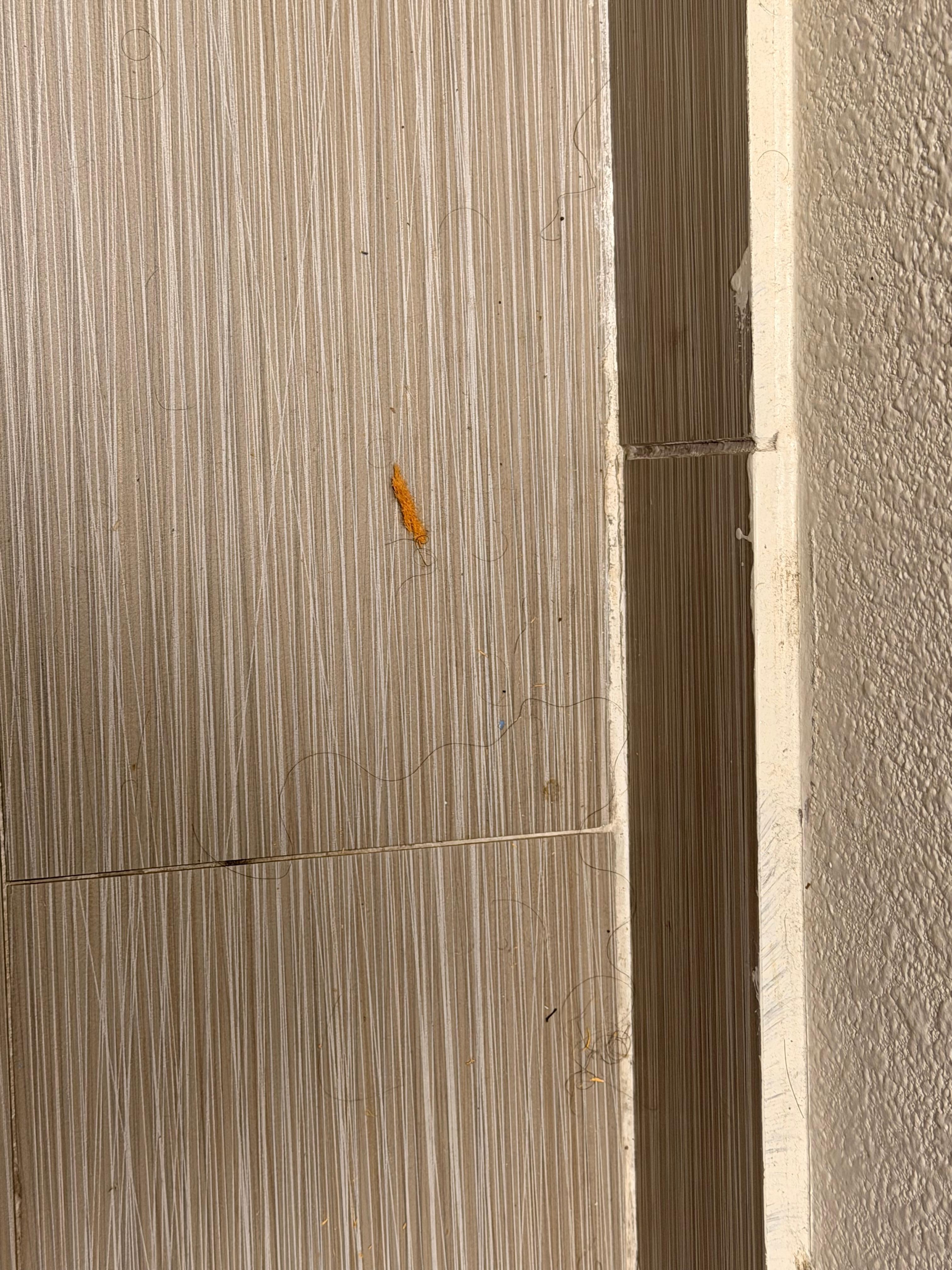 Hair and chips in the bathroom. There when I arrived and never cleaned up the whole stay.