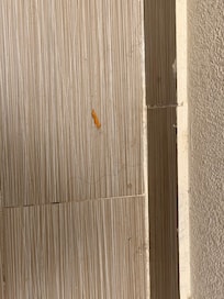 Hair and chips in the bathroom. There when I arrived and never cleaned up the whole stay.