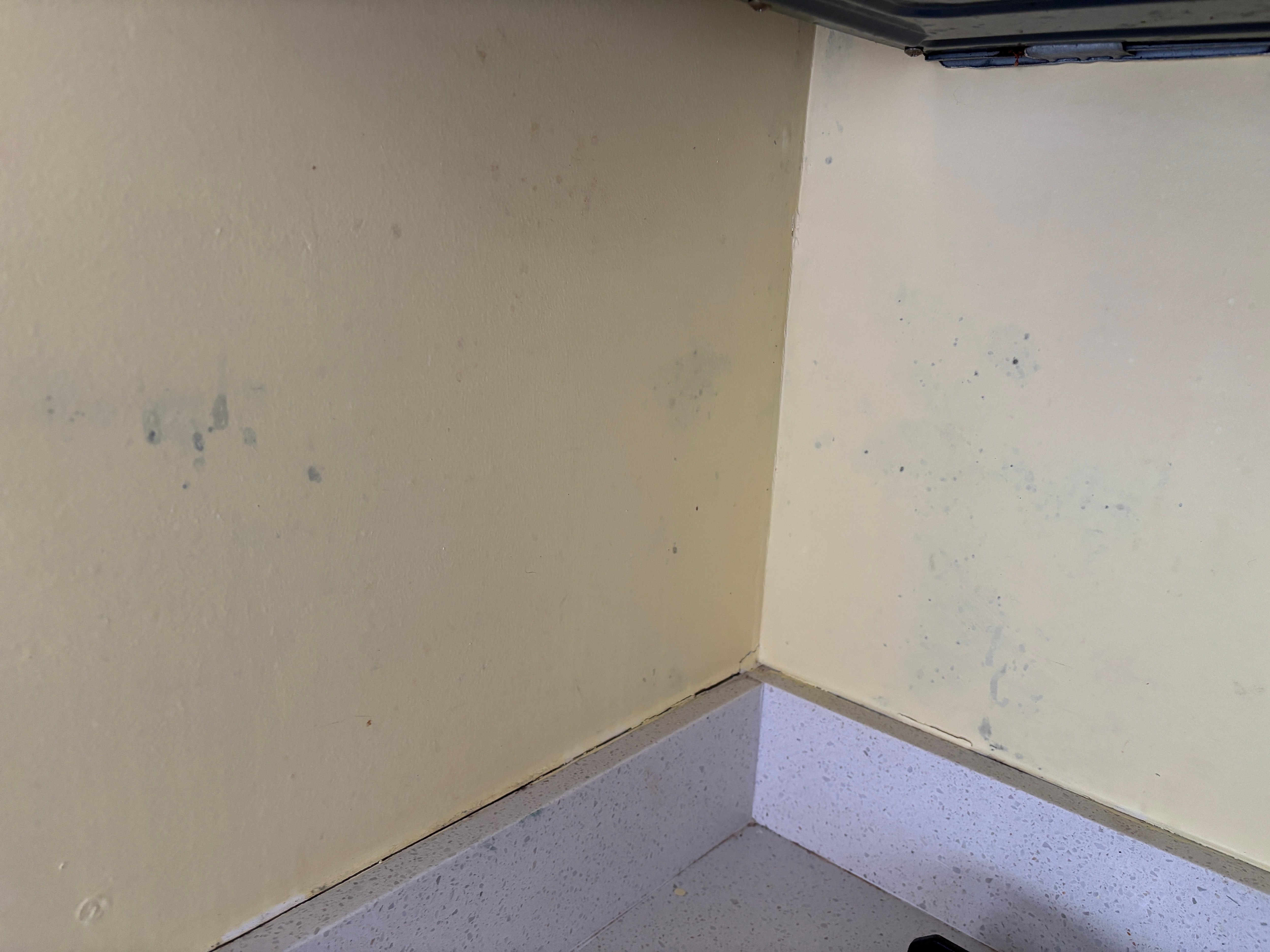 Black mold