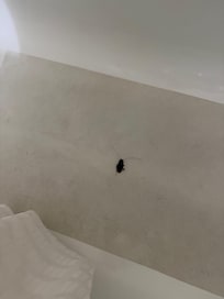 Roach in the tub...tub was dirty as well. Window shade was ripped off of the track. Just a dump. Breakfast was terrible