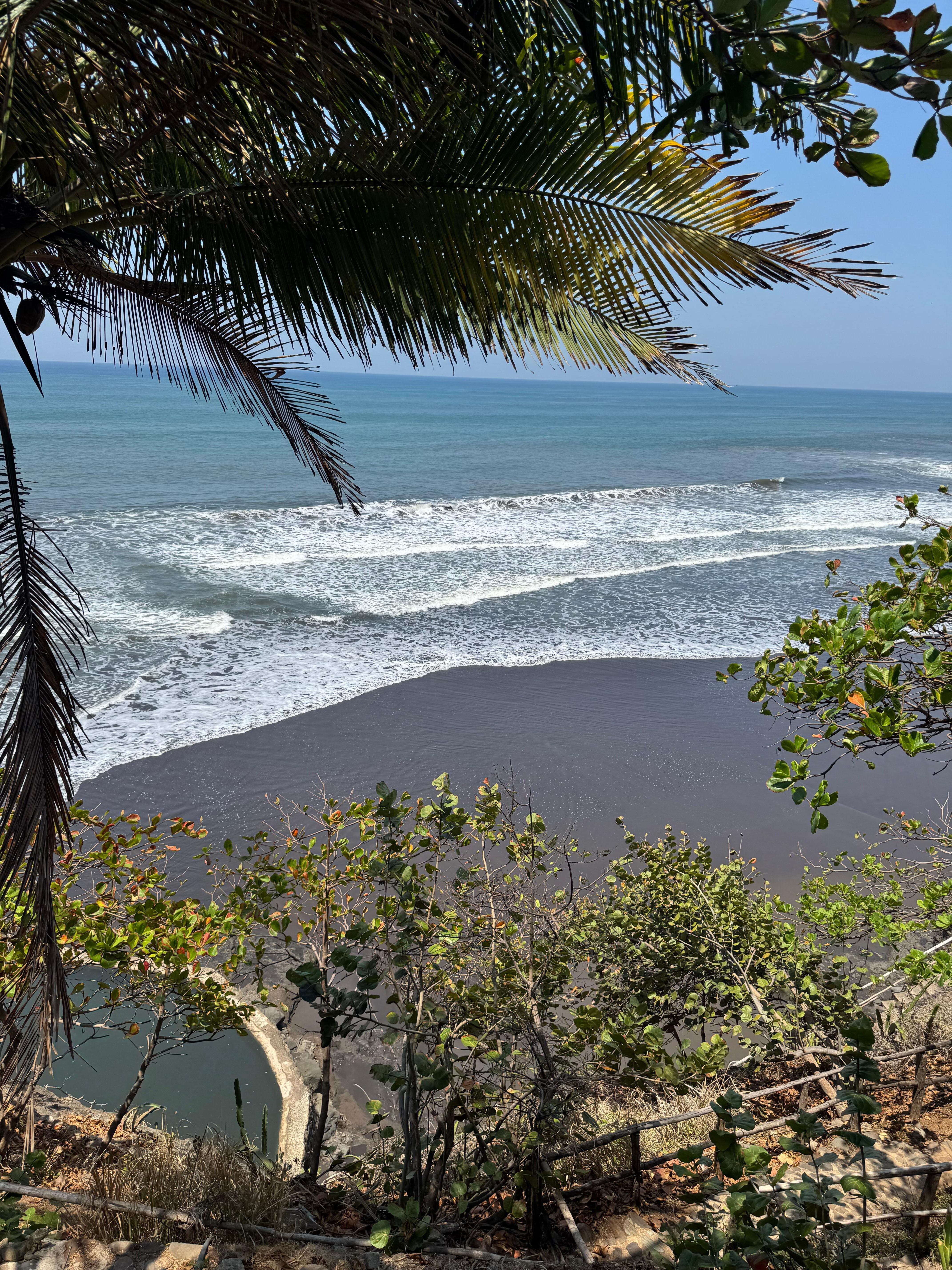 View from the restaurant