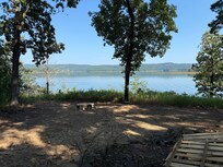 Picture taken near the fire pit in the backyard.