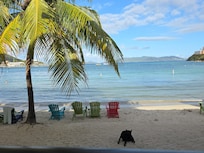 View of the beach from the bar with a really sweet and loving coconut lab who is also a resident.