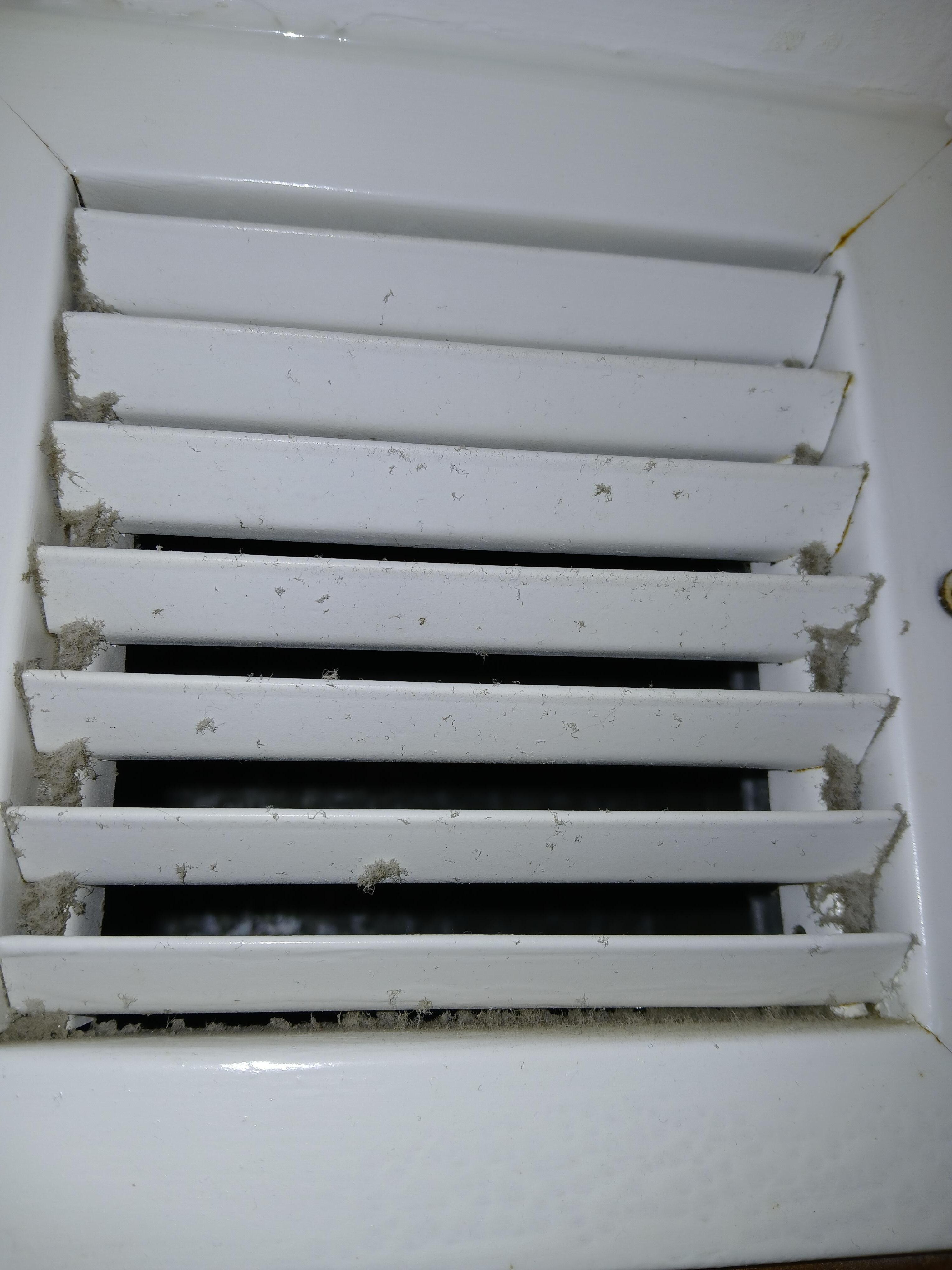 Bathroom vent