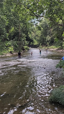Wading through the creek