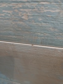 Ants on the bathroom wall