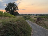Small road leading to the house