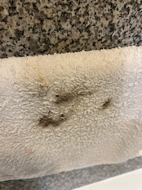 Rag where I tried cleaning the tub