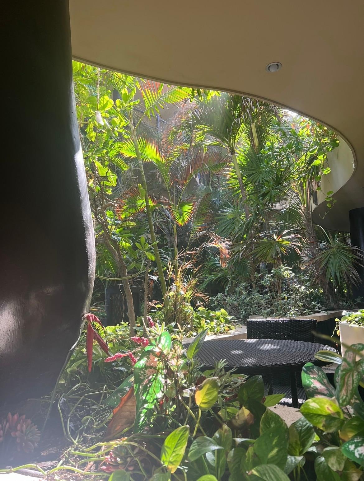 View from front patio away from the ocean 