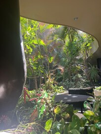 View from front patio away from the ocean