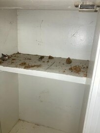 Who knows what in a closet.
