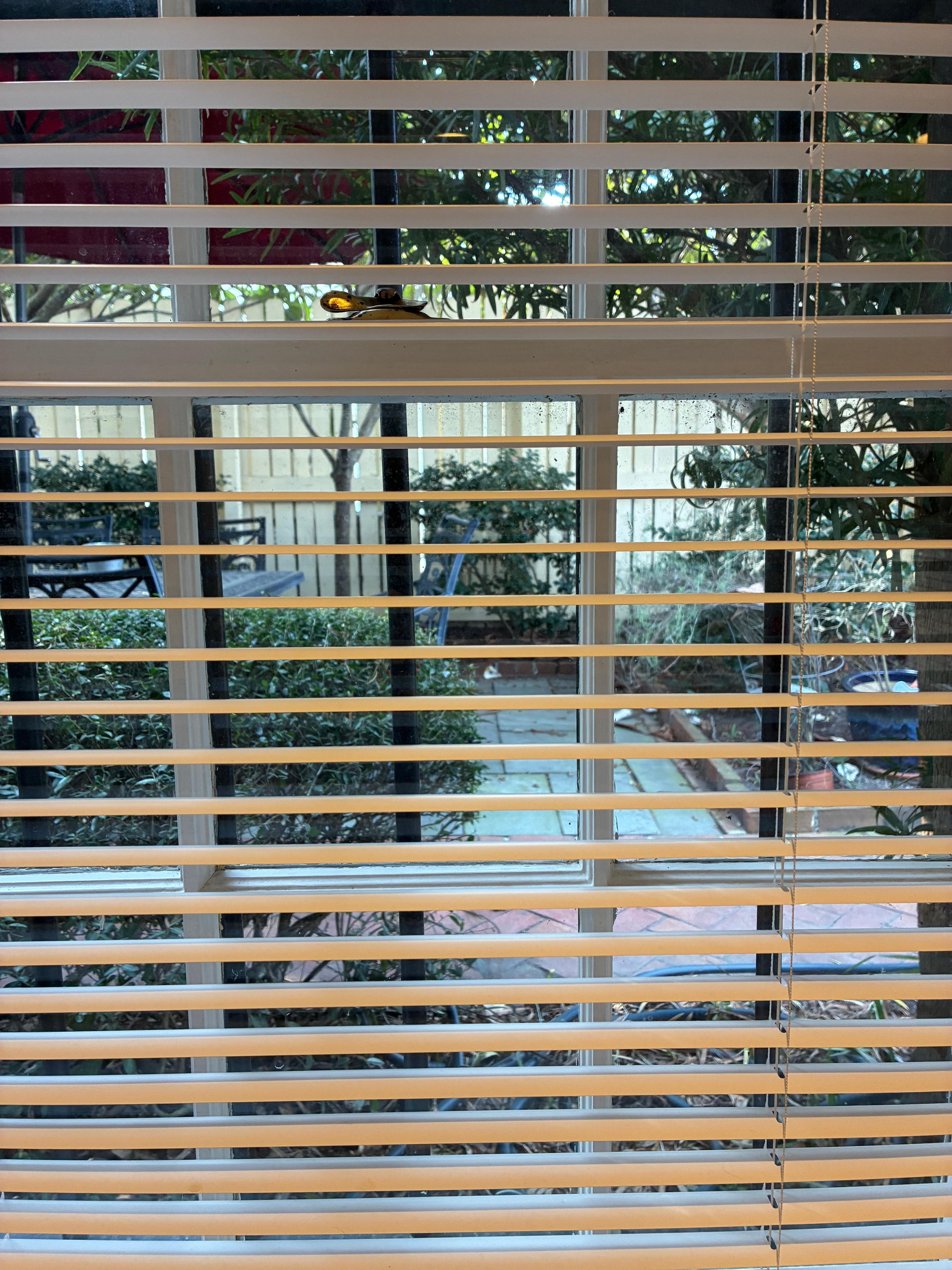 From kitchen window to patio